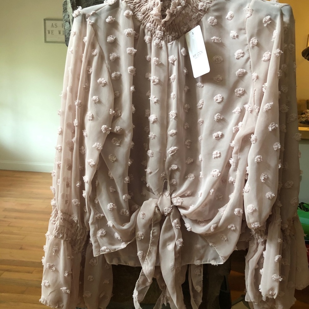 SOLD OUT 🌿🌿Blush Dobby Shirring High Neck Blouse - Picture 6 of 8